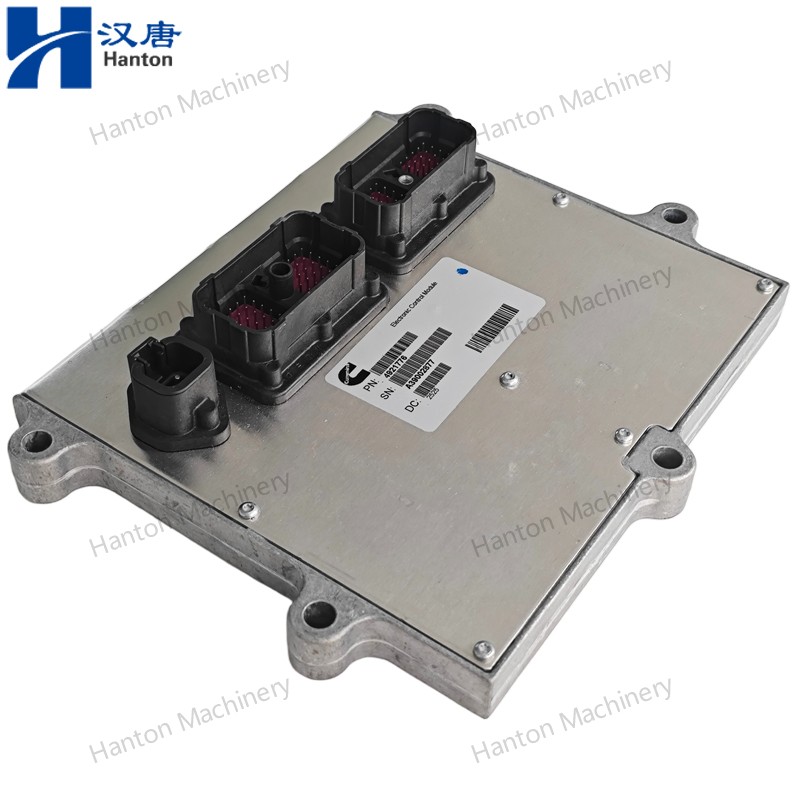 4921776 800X800 watermark -018 4921776 800X800 watermark -018