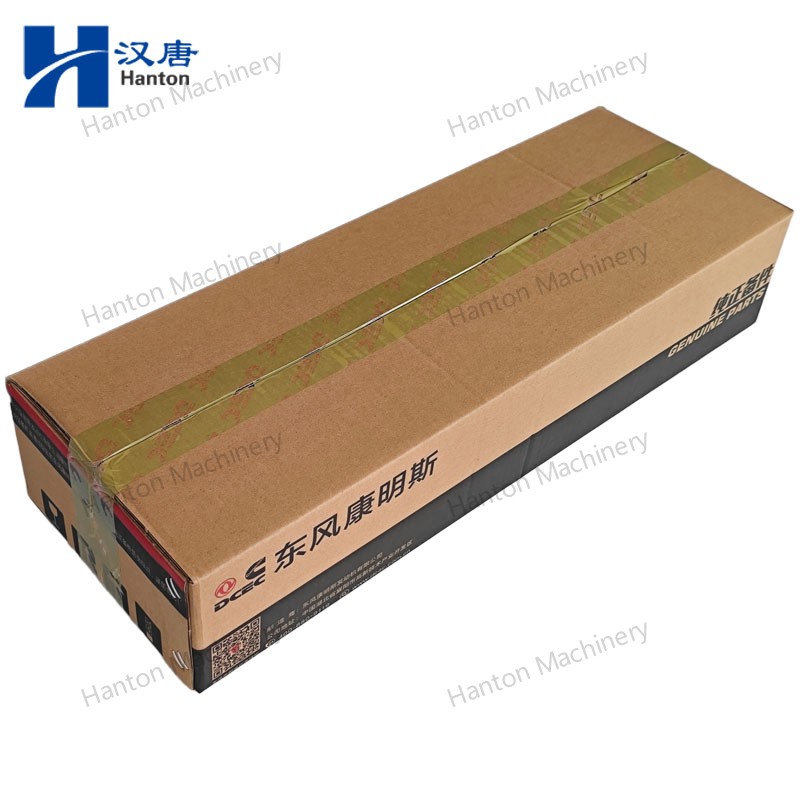 5620236 800X800 watermark -009 5620236 800X800 watermark -009