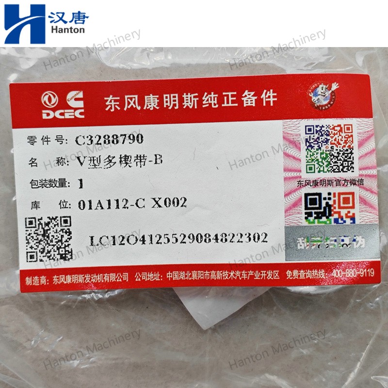 3288790 800X800 watermark -006 3288790 800X800 watermark -006