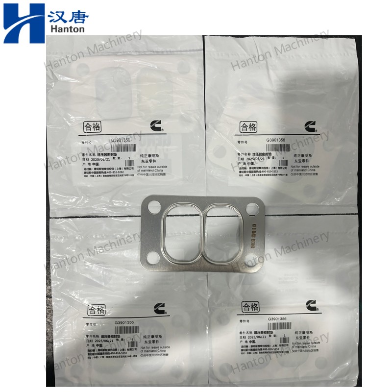 3901356 800X800 watermark -005 3901356 800X800 watermark -005