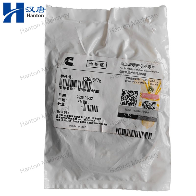 3903475 800X800 watermark -016 3903475 800X800 watermark -016