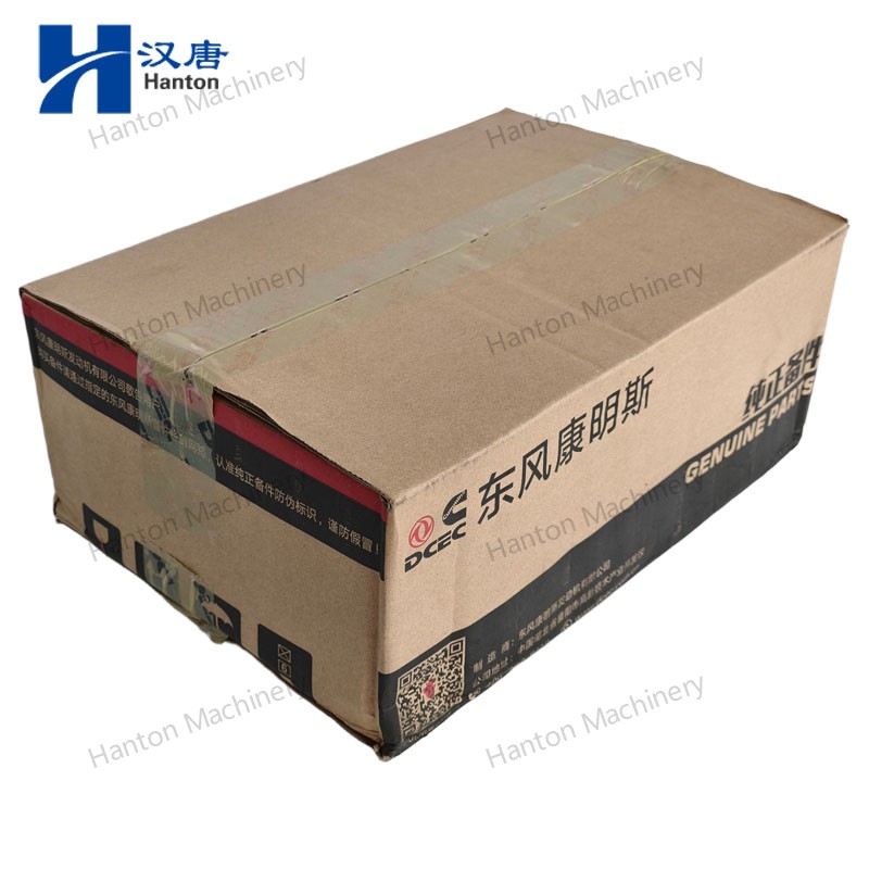 4991277 800X800 watermark -008 4991277 800X800 watermark -008