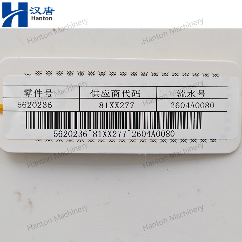 5620236 800X800 watermark -022 5620236 800X800 watermark -022