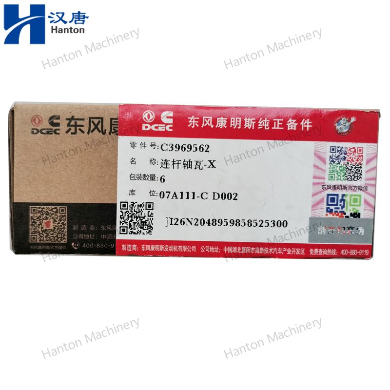 3969562 800X800 watermark -007 3969562 800X800 watermark -007