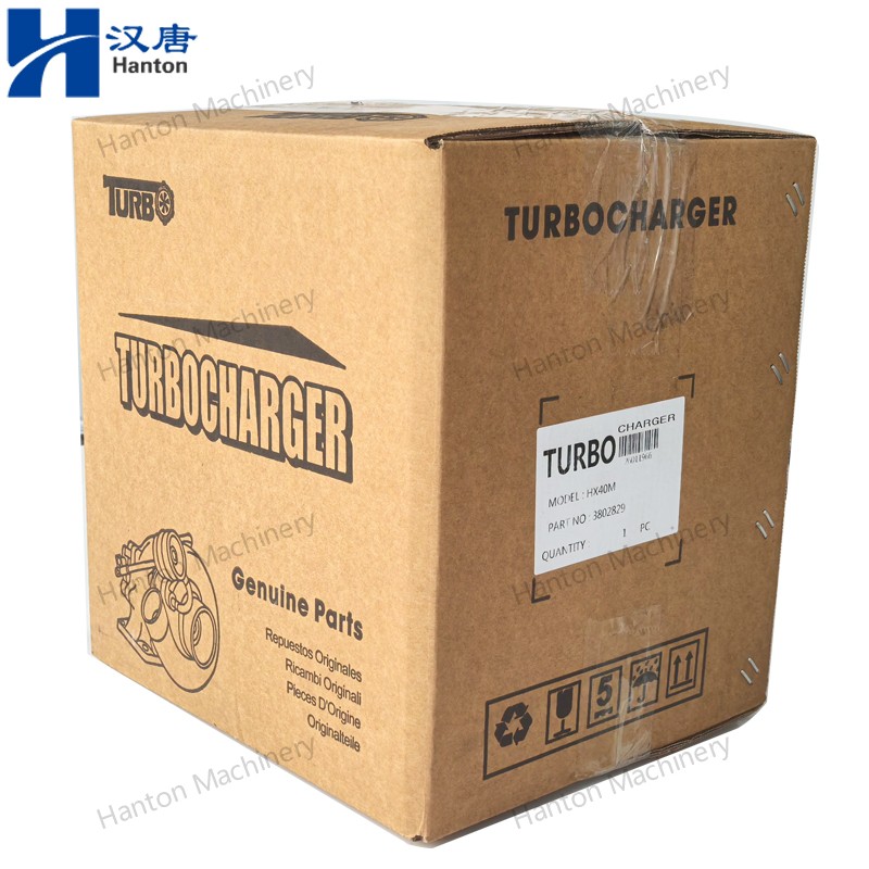 3802829 800X800 watermark -007 3802829 800X800 watermark -007