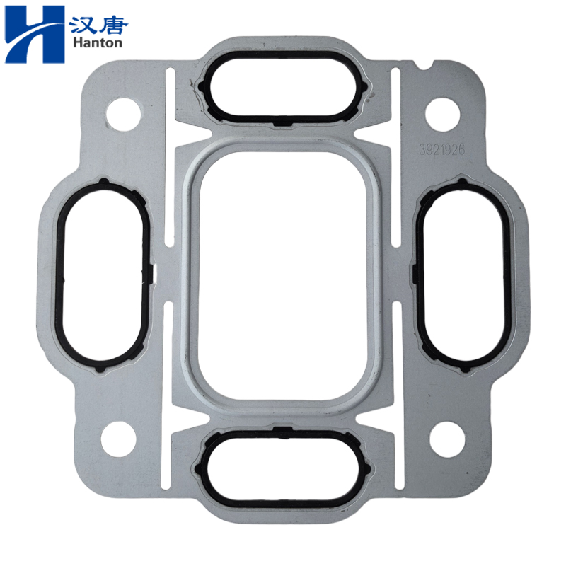 3921926 800X800 -001 3921926 800X800 -001