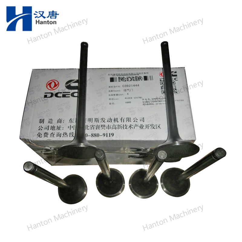 3921444 800X800 watermark -002 3921444 800X800 watermark -002