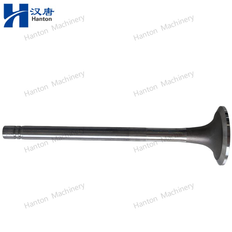 145701 800X800 watermark -003 145701 800X800 watermark -003