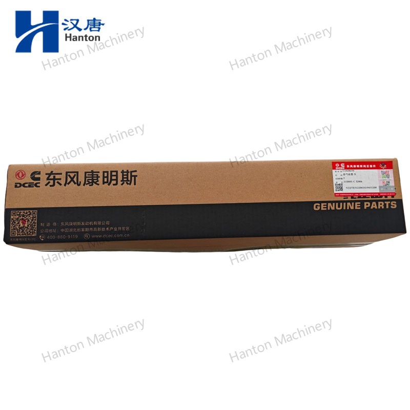 5620236 800X800 watermark -007 5620236 800X800 watermark -007