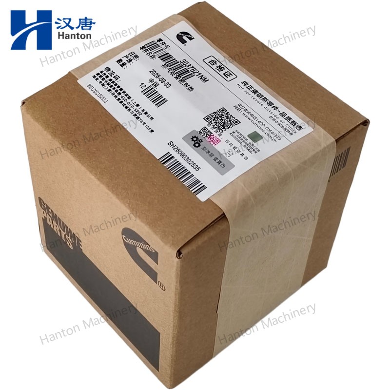 3037821 800X800 watermark -008 3037821 800X800 watermark -008