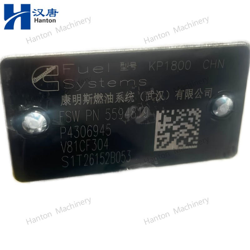 4306945 800X800 watermark -005 4306945 800X800 watermark -005