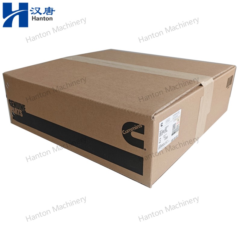 5306024 800X800 watermark -009 5306024 800X800 watermark -009