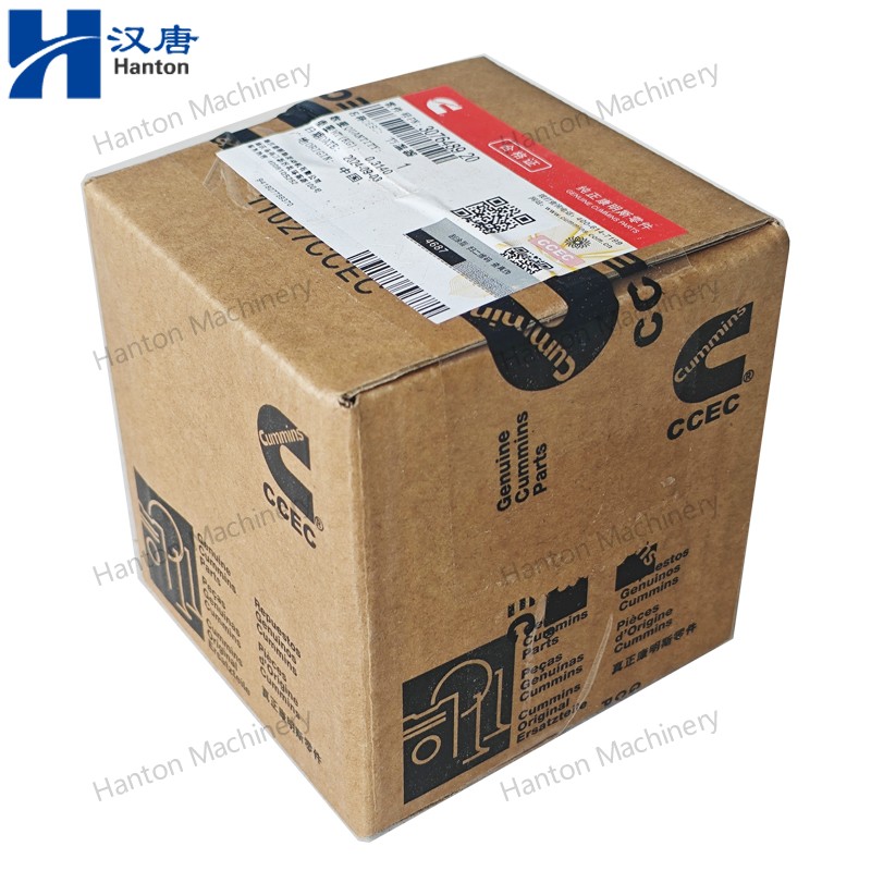 3076489 800X800 watermark -017 3076489 800X800 watermark -017