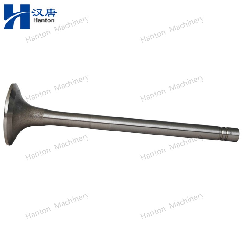 3803519 800X800 watermark -009 3803519 800X800 watermark -009