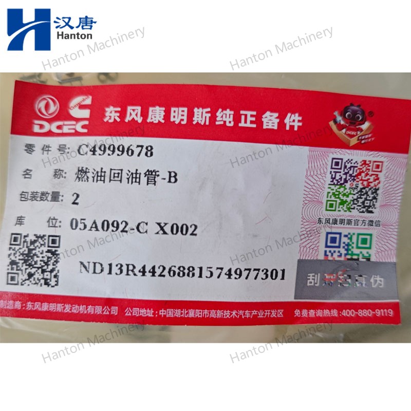 4999678 800X800 watermark -006 4999678 800X800 watermark -006