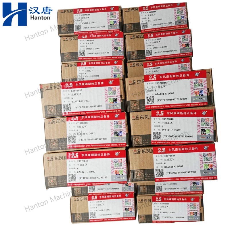 3978818 800X800 watermark -008 3978818 800X800 watermark -008