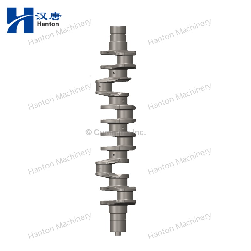 5301009 800X800 watermark -005 5301009 800X800 watermark -005