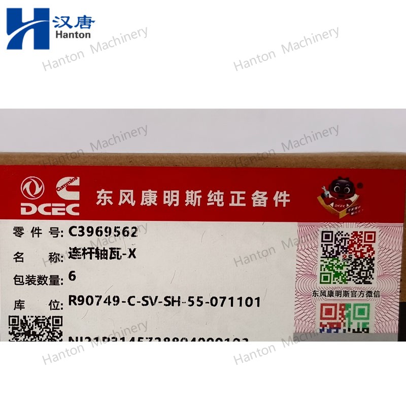 3969562 800X800 watermark -020 3969562 800X800 watermark -020