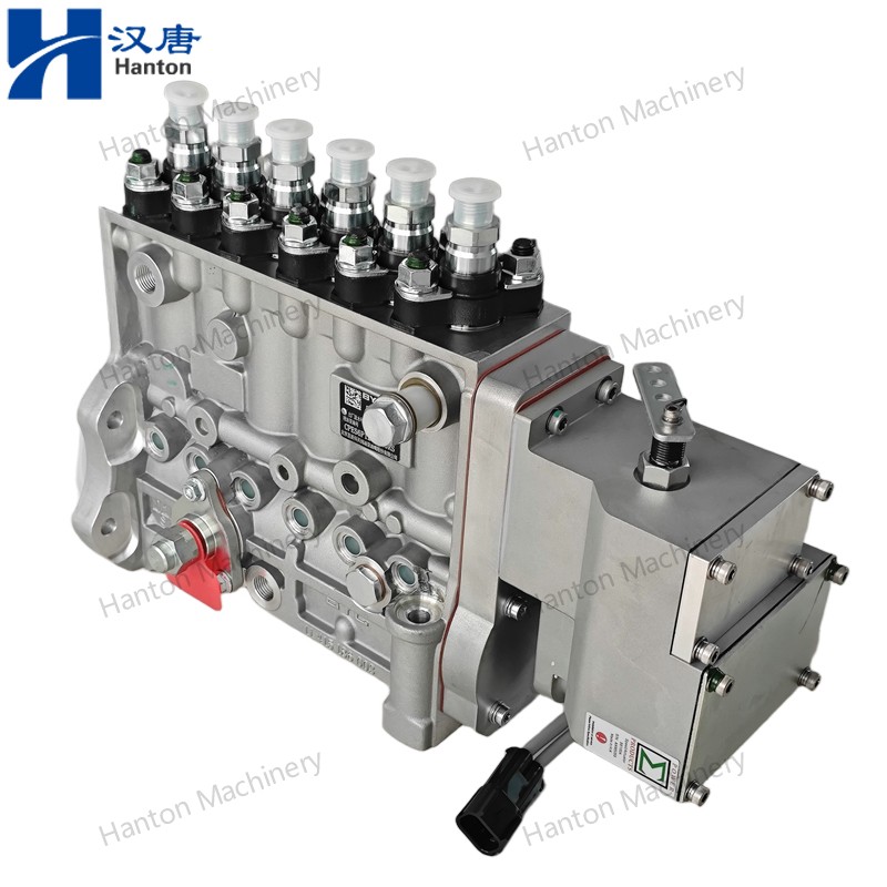 5258154 800X800 watermark -007 5258154 800X800 watermark -007