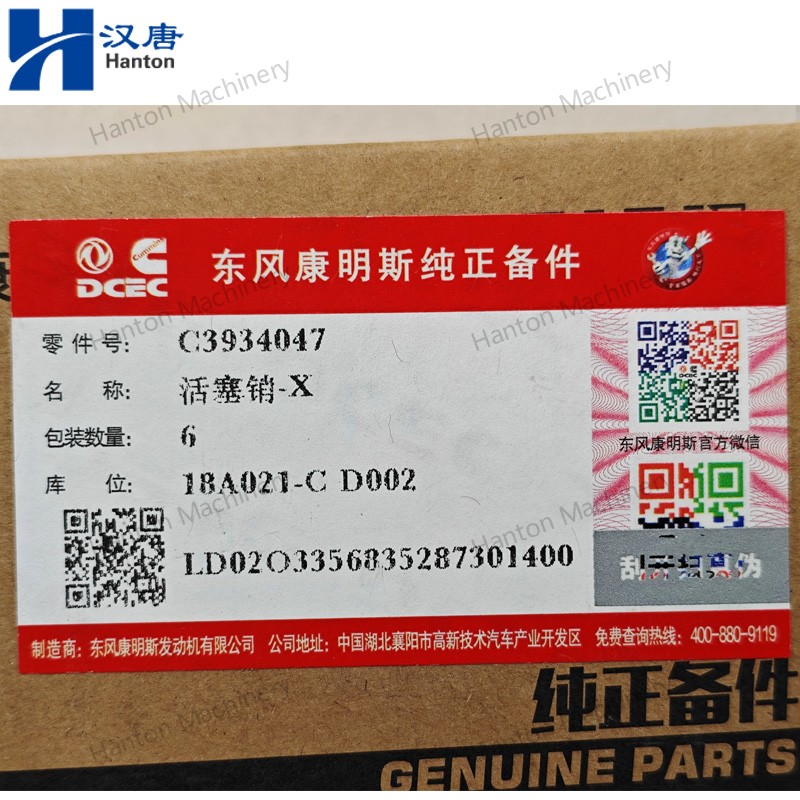 3934047 800X800 watermark -006 3934047 800X800 watermark -006