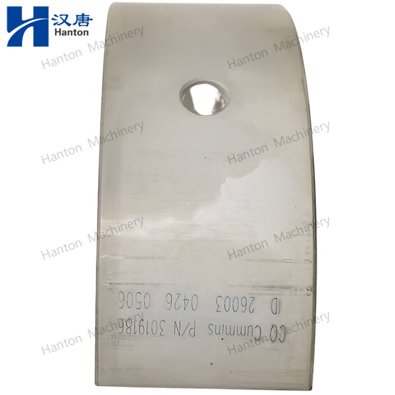 3019186 800X800 watermark -001 3019186 800X800 watermark -001