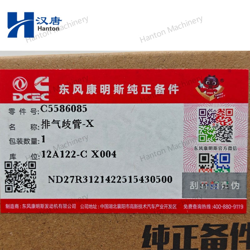 5586085 800X800 watermark -006 5586085 800X800 watermark -006