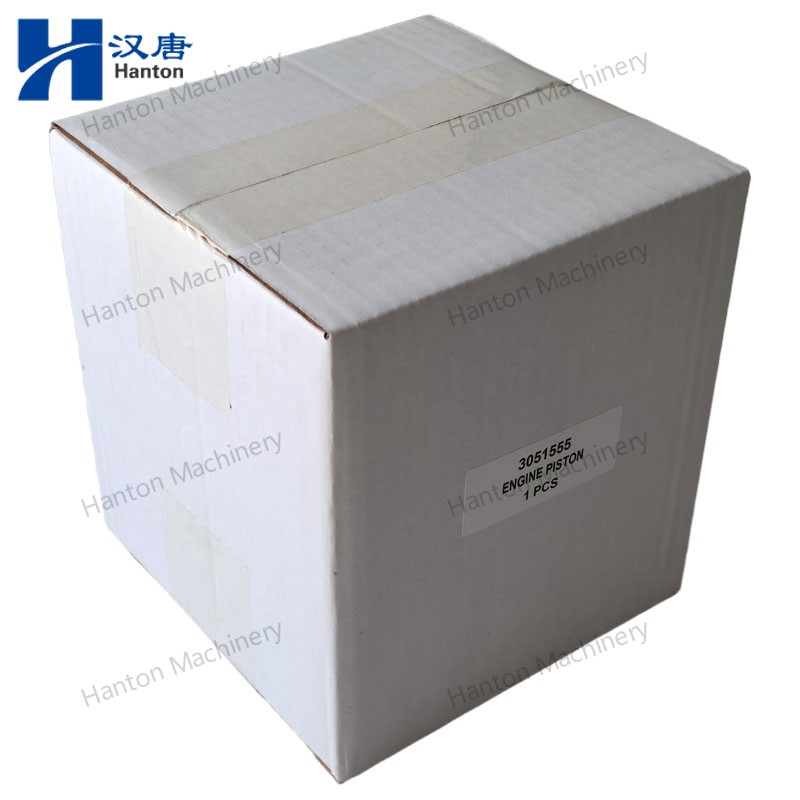 3051555AFM 800X800 watermark -011 3051555AFM 800X800 watermark -011