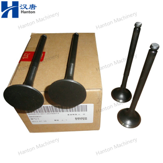 Fiat Iveco 99432837 Exhaust Valve for Daily Sofim Engine 8140.43 Series