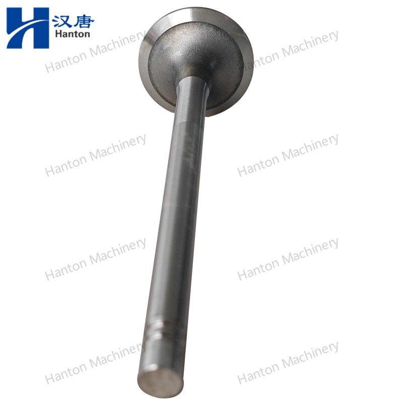 Cummins 135957 Intake Valve 3000926 4955698 for Engine N855 N14 NH220 Series