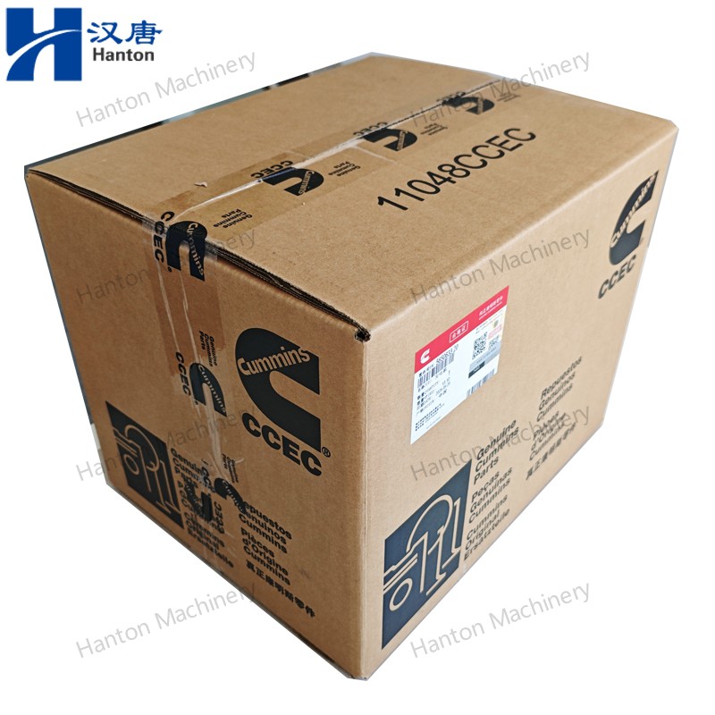5650633 800X800 watermark -009