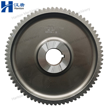 Cummins 3035195 3002901 Camshaft Gear for Engine NTA855 N14 NH220 Series
