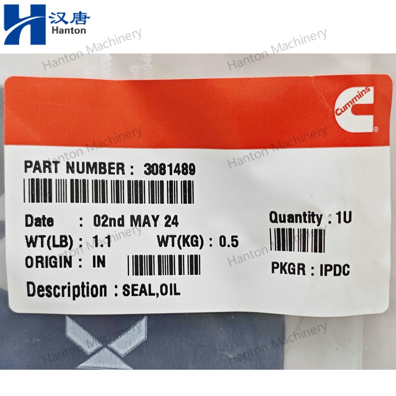 Cummins Cylinder Liner Oil Seal D Ring 205115 207525 3081489 for Engine K19 K38 K50 Series