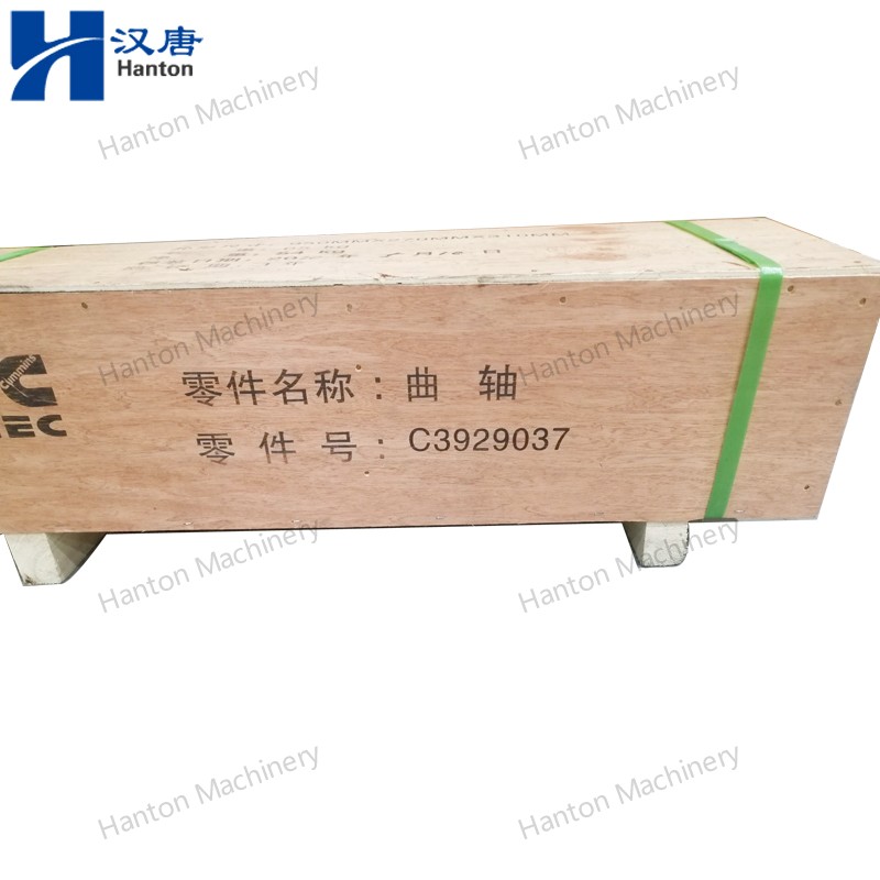 3929037 800X800 watermark -007