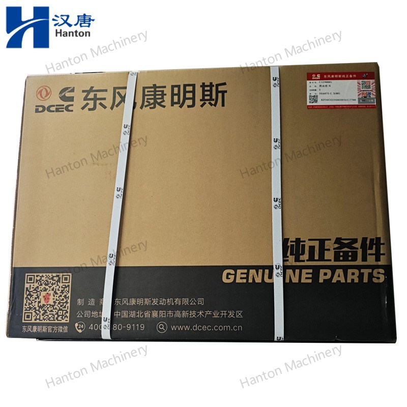 5290005 800X800 watermark -011