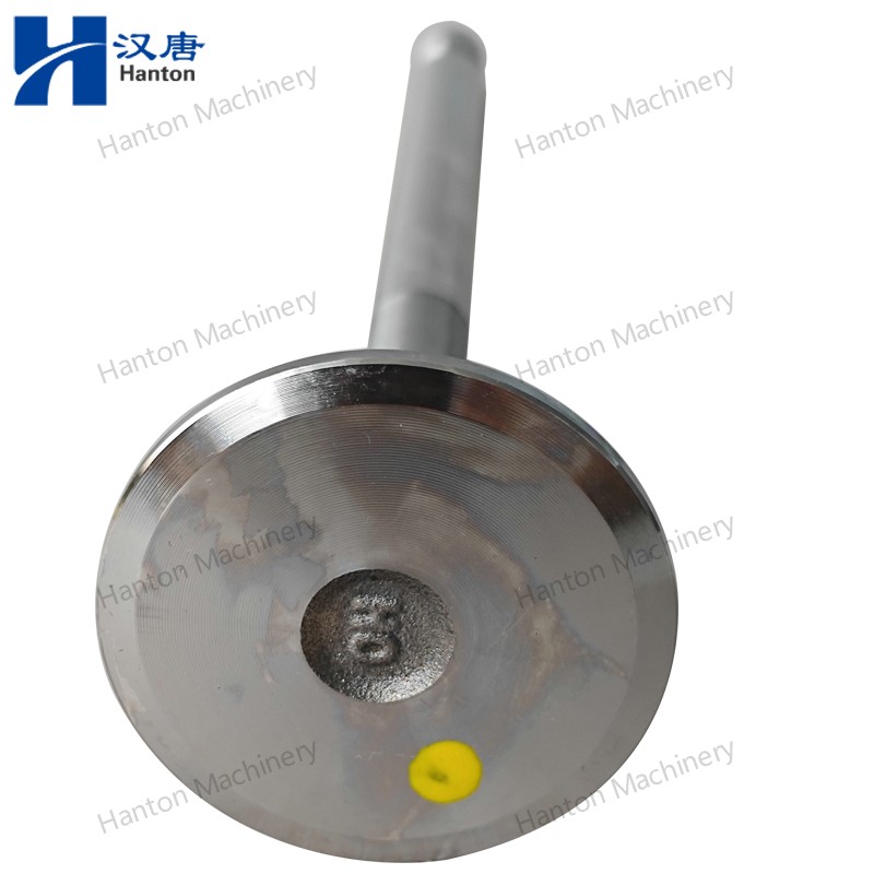 Cummins 135957 Intake Valve 3000926 4955698 for Engine N855 N14 NH220 Series