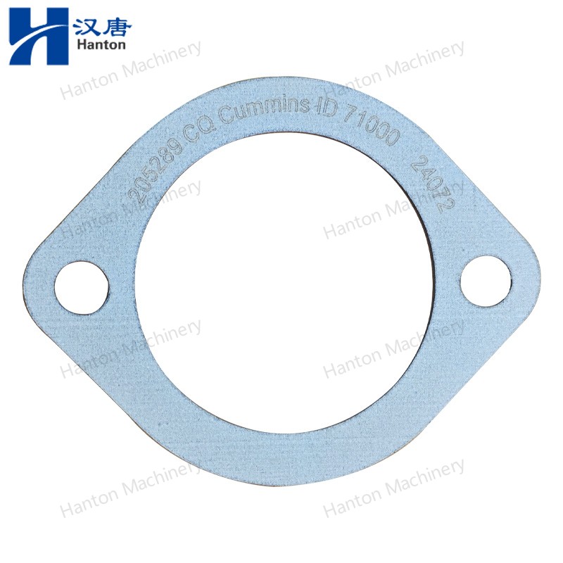 Cummins Water Drain Gasket 202289 for Engine K19 Series 