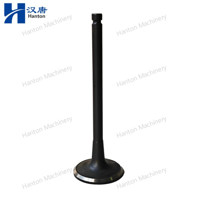Cummins Exhaust Valve 3920868 3901607 4994143 for Engine B3.9 B5.9 Series