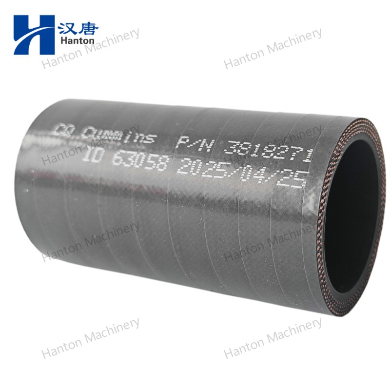 3818271 800X800 watermark -016