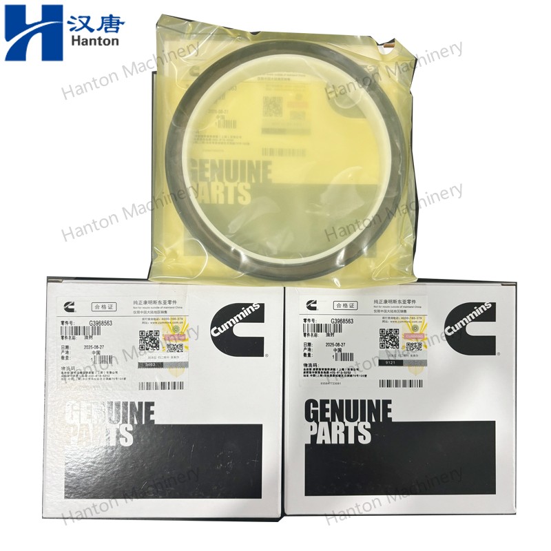 3968563 800X800 watermark -012