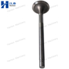 Cummins 145701 3040830 Exhaust Valve for Engine N855 N14 NH220 Series