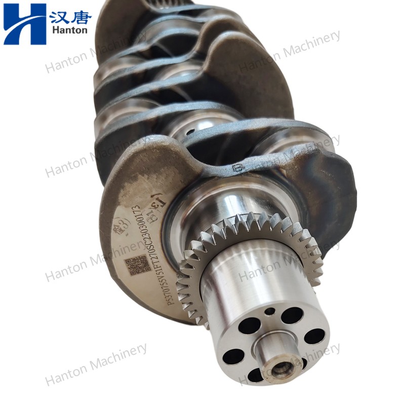 5289840 800X800 watermark -010