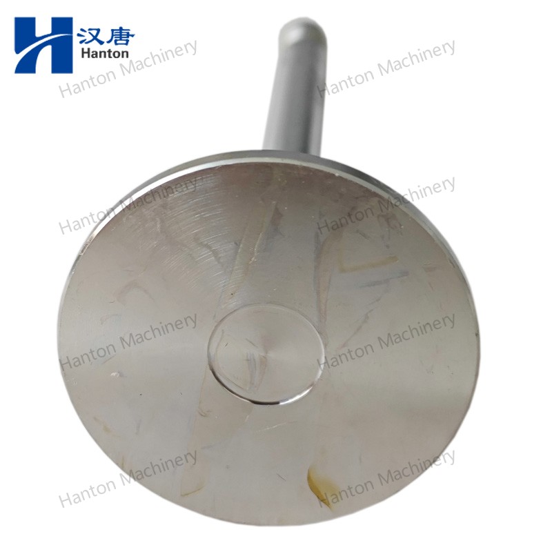 Weichai Intake Valve 12159606 for Engine WP6 Series
