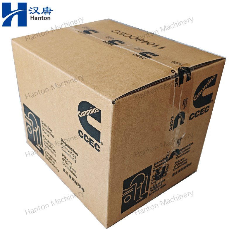 5650633 800X800 watermark -011
