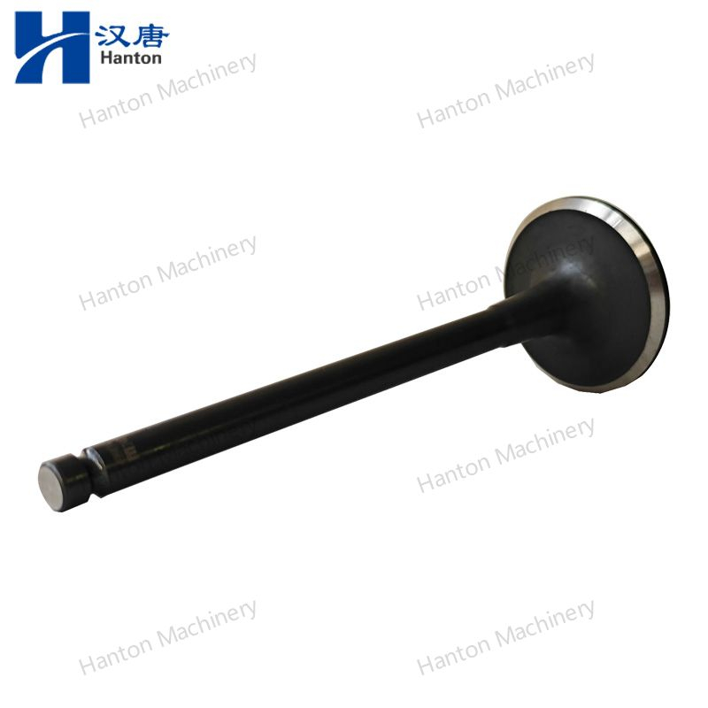 Cummins Exhaust Valve 3920868 3901607 4994143 for Engine B3.9 B5.9 Series