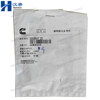 Cummins Keyway Seal 3000177 3008947 for Engine N855 N14 NH220 Series