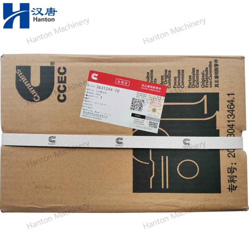 3631244 800X800 watermark -005