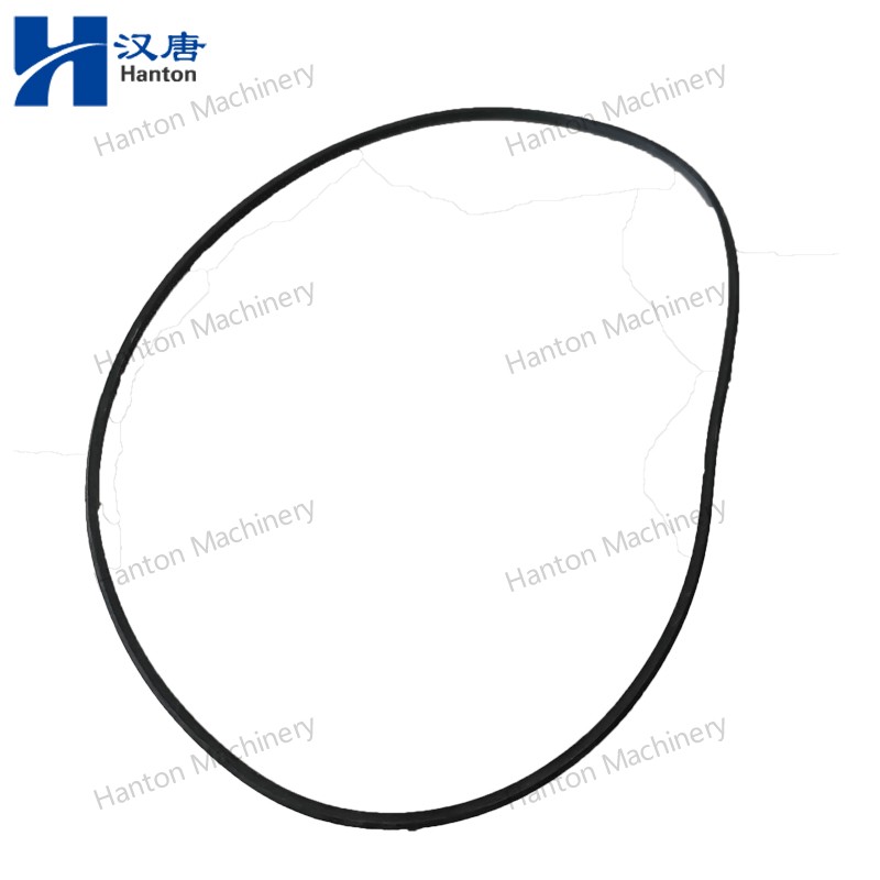 Cummins Rectangular Seal Ring 4308855 for Engine K19 K1150 K38 K2300 K50 Series