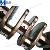 Cummins Crankshaft Assembly 5254839 5313645 for Engine ISB5.9 QSB5.9 Series