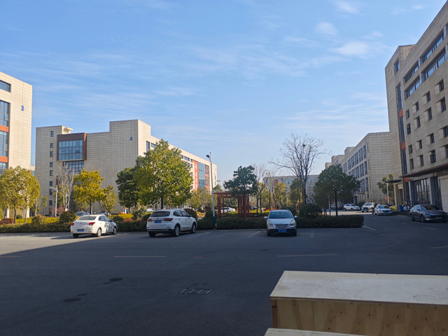 IMG_20250115_120805_副本