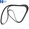 High Quality OEM Belt V Ribbed 5348097 for Cummins Engine ISL QSL Seres